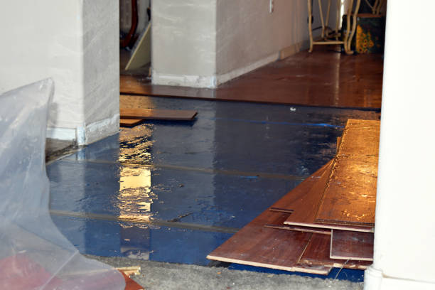 Professional Basement Flood Cleanup technician working in West Newton, PA